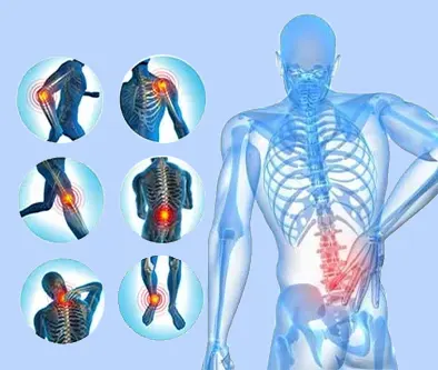 Patient focused physiotherapy care